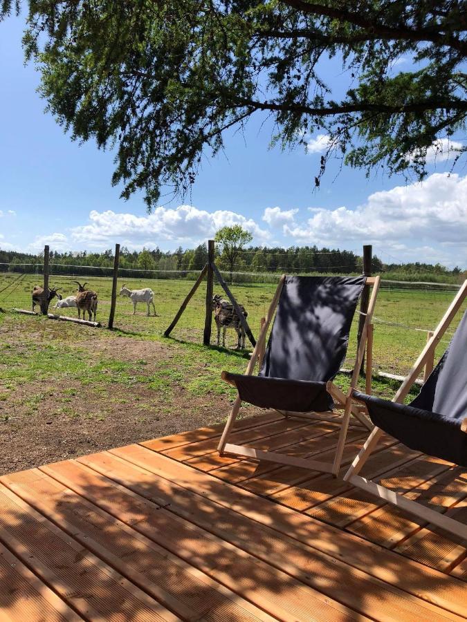 Villa Zamieszkaj Na Wsi Blisko Warszawy à Borucza Extérieur photo