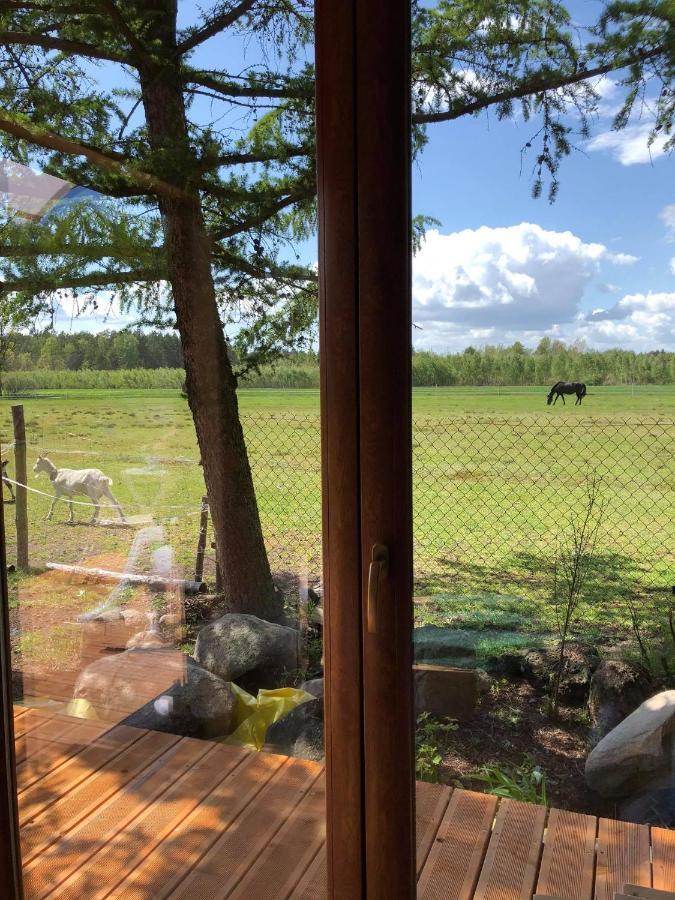 Villa Zamieszkaj Na Wsi Blisko Warszawy à Borucza Extérieur photo